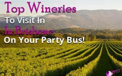 Top Wineries To Visit In Brisbane On Your Party Bus!