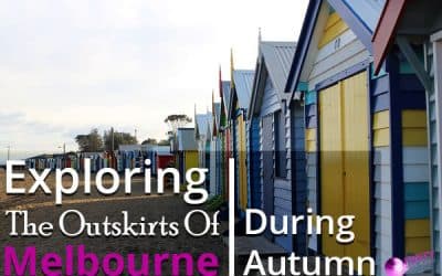 Exploring The Outskirts Of Melbourne During Autumn