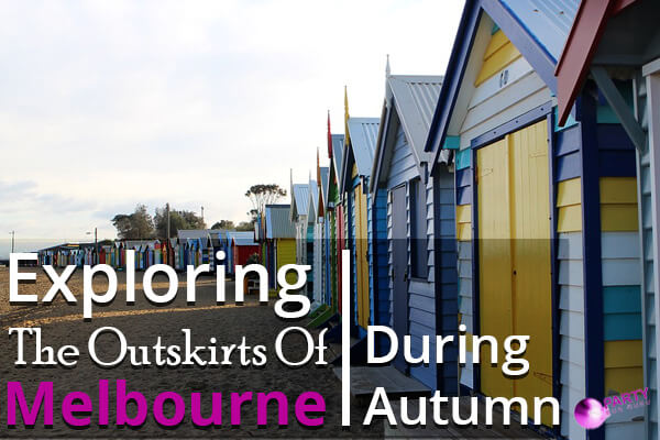 Exploring The Outskirts Of Melbourne During Autumn